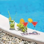 Pet Friendly In Vakantiehuis