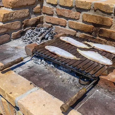 Pet Friendly In * Jurdani